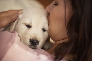 女子亲吻她肩膀上的金毛猎犬的头