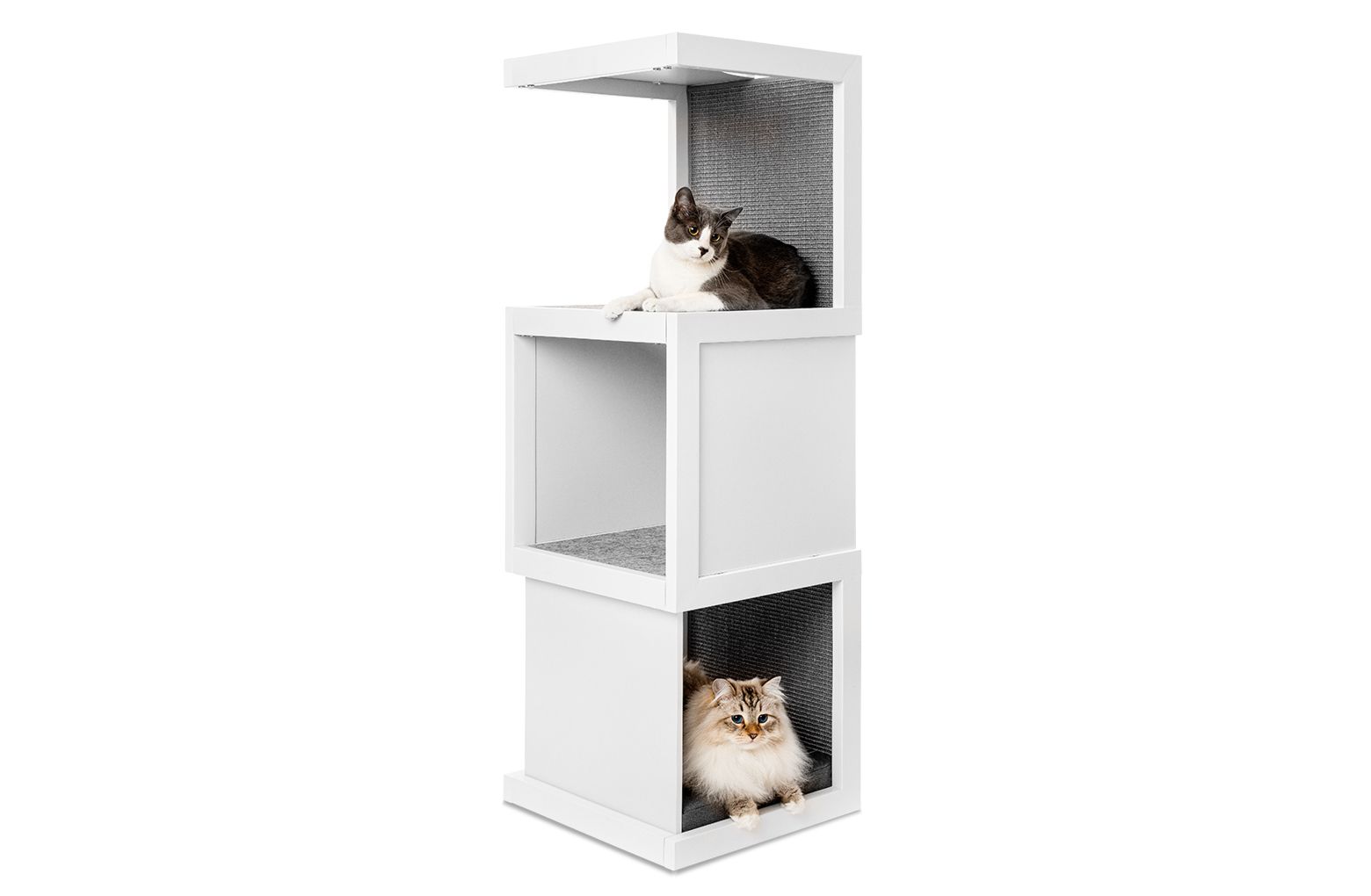 Whisker Cat Tower