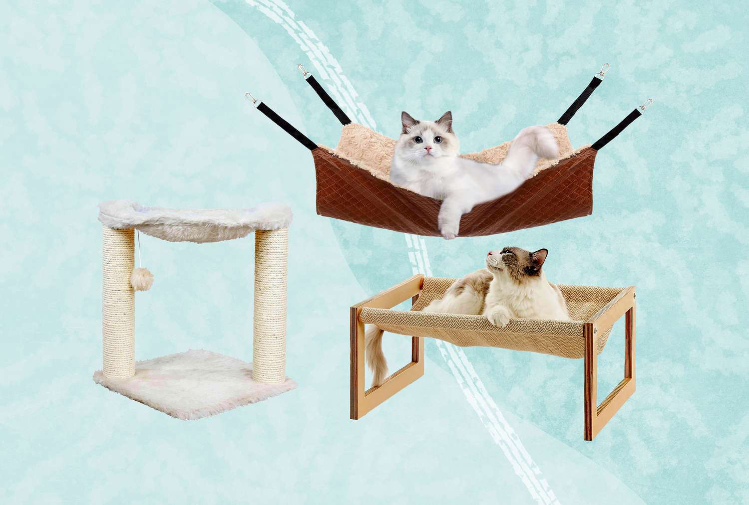 Cat hammocks we recommend on a blue background