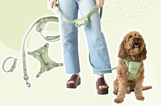 Spring Is Finally HereâCelebrate With a New Walk Kit from Archie & Alfred