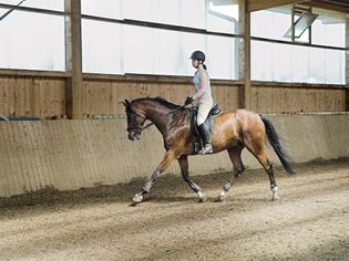 Rising in the stirrups while posting