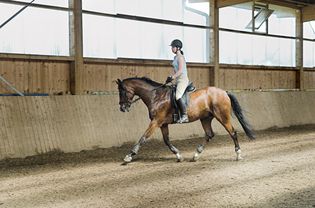 Rising in the stirrups while posting