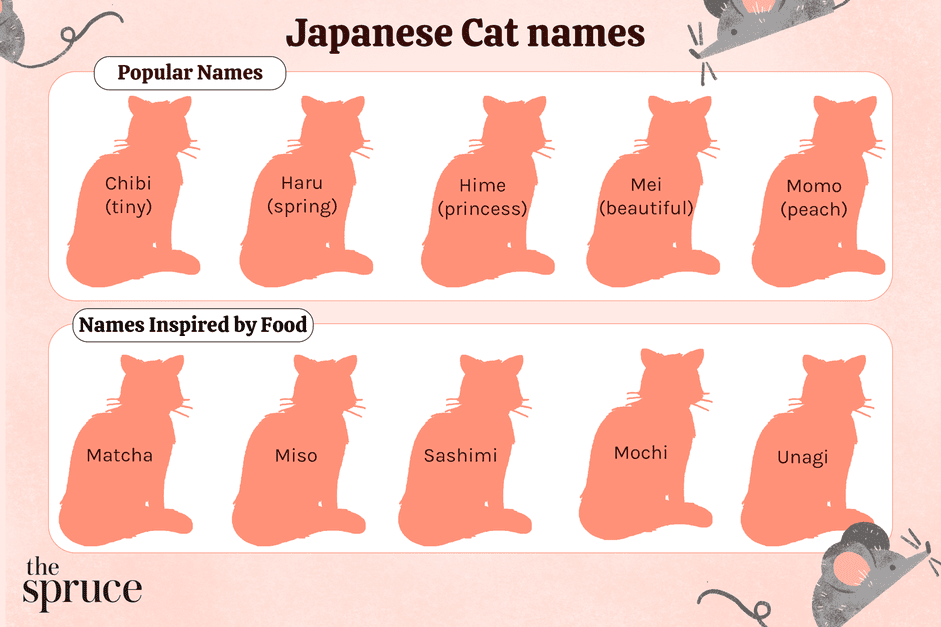 日本的猫的名字