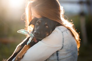 女子拥抱救援犬