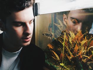 Man looking in aquarium