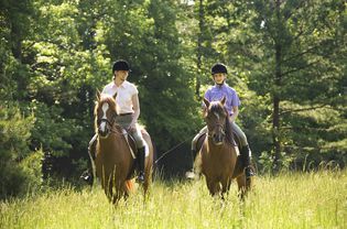 Two riders on horseback in a field