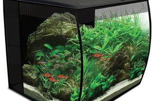 Fluval Flex 9加仑