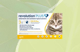 Revolution Plus flea treatment for cats on a green background