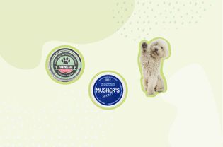 Dog Paw Balms