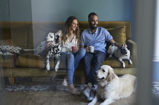 Happy couple sitting in sofa with their 3 dogs