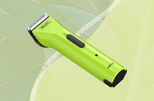 Wahl clippers on a green background