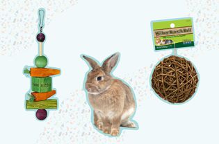 The 8 Best Rabbit Toys of 2022