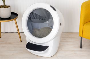 whisker litter-robot 4 best automatic litter boxes