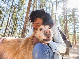 男人带着老金毛猎犬在外面。