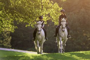 Two girls riding a horse