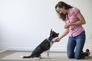 Young woman training her dog