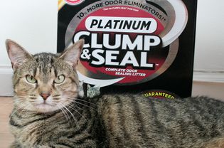 Arm & Hammer Clump & Seal Platinum Cat Litter