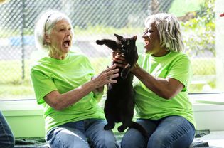 two volunteers hold a shelter cat