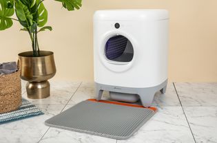 PETKIT Pura X Self-Cleaning Cat Litter Box