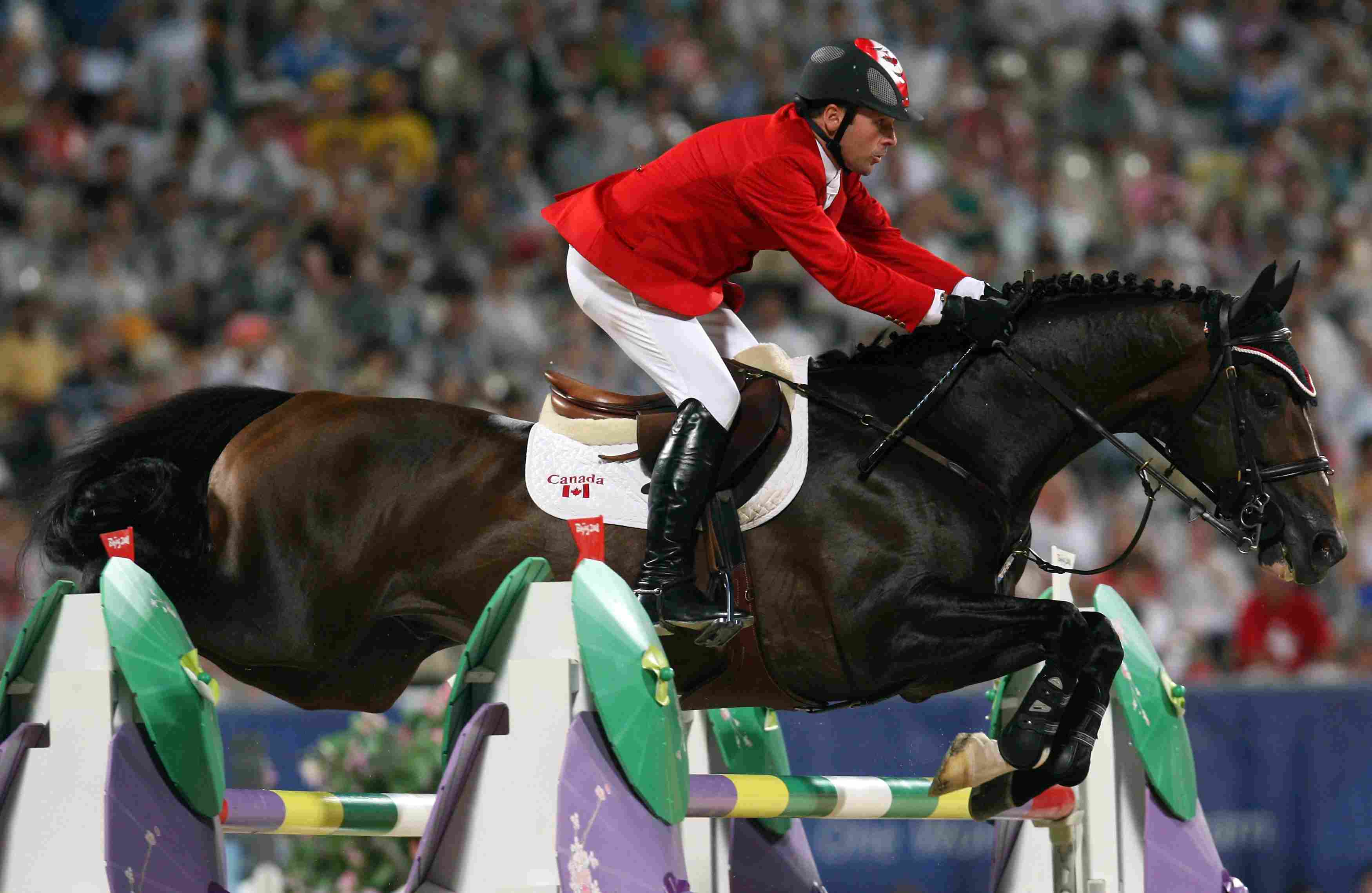 lamazeon hickstead