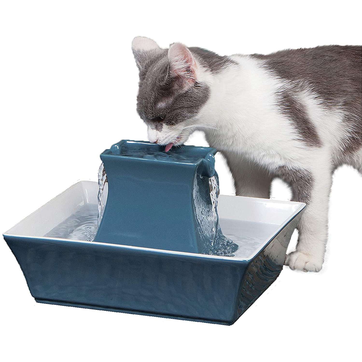 最佳cat water fountains on amazon