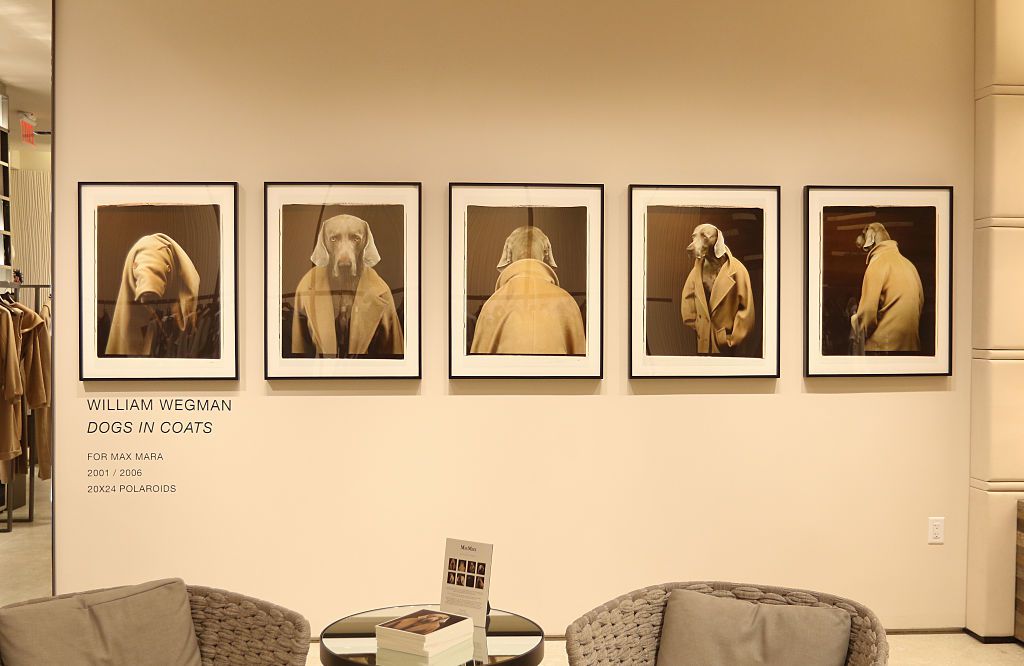 William Wegman Weimaraners的展示