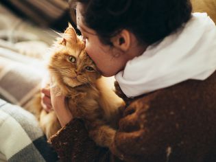 女人亲吻一只橙色的猫