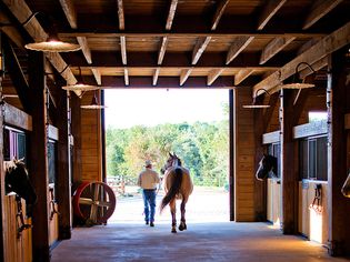 A man leads a horse out of stables.