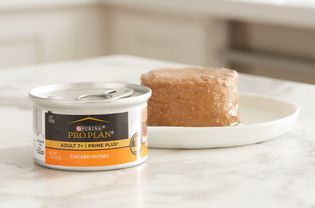 Can of Purina Pro Cat Food displayed on counter in front of a pate on a plate