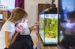 母亲和儿子看水族馆