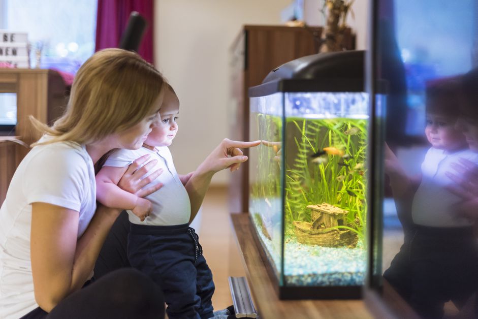 妈妈和儿子在水族馆