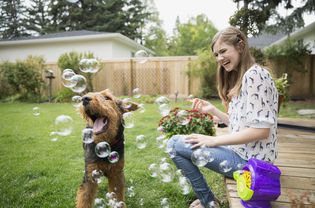 Curious dog playing with bubbles in backyard