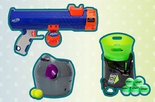 Best automatic dog ball launchers collaged against colorful patterned background