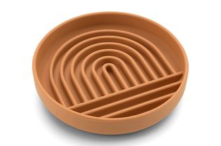 Slow Feeder Dog Bowl