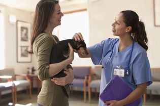 veterinarian talking to dog owner