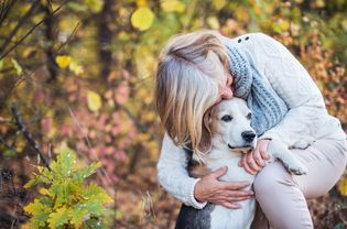 秋天的时候，高年级女生带着高年级的小猎犬在外面。