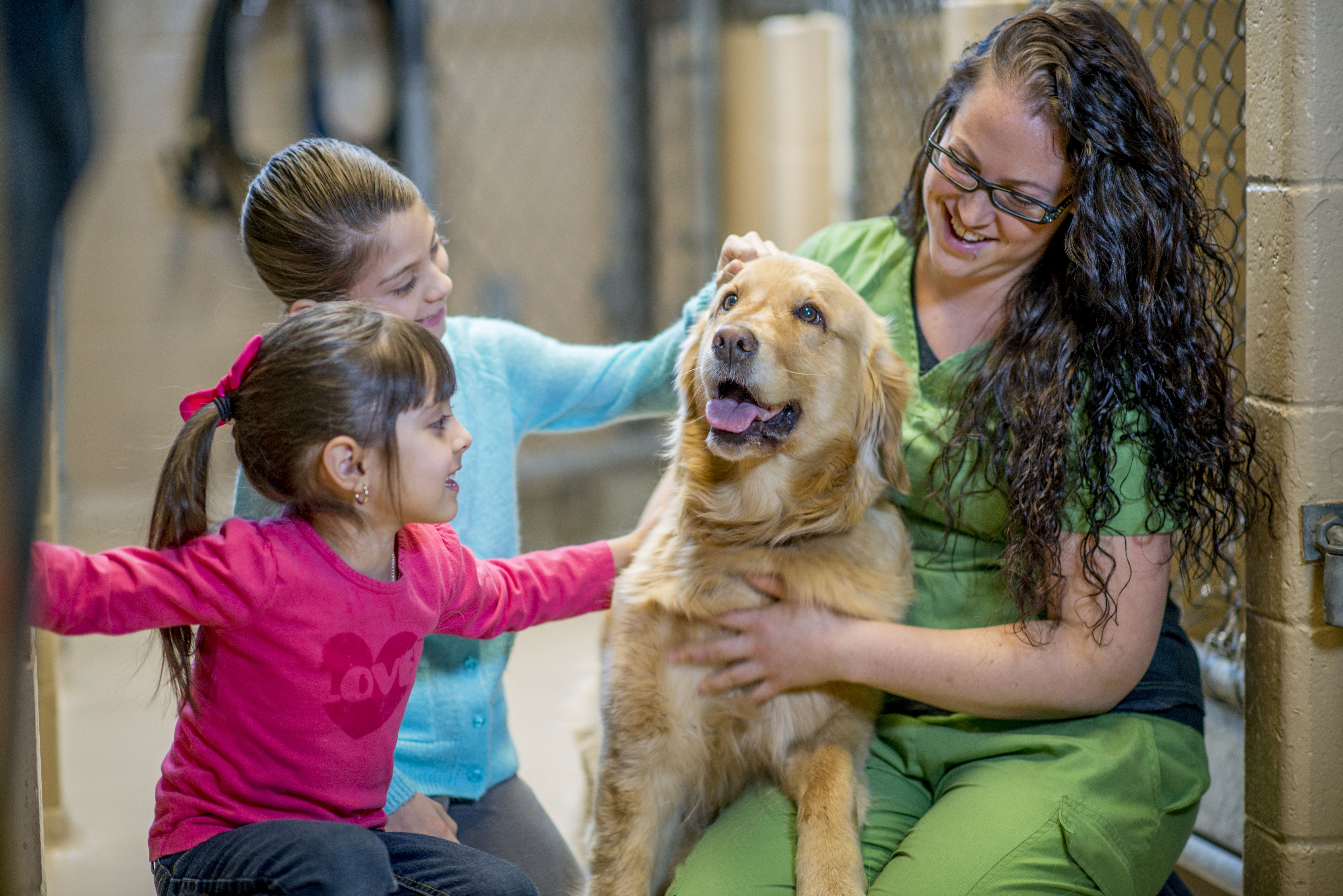 two young girls and a woman petting a golden retriever at a shelter