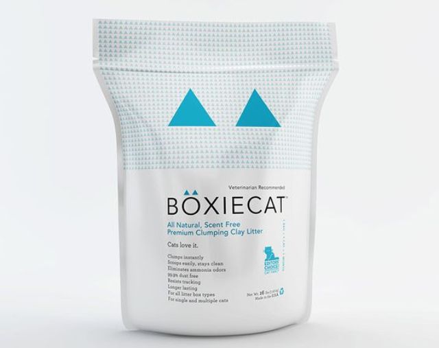 Boxiecat