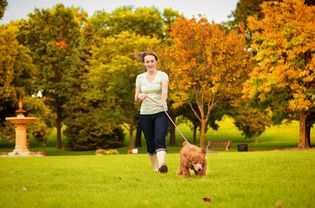 Young woman walking with pet puppy poodle