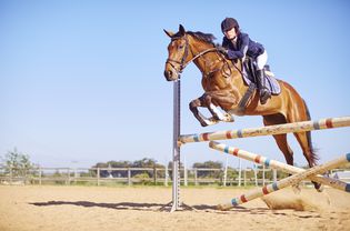 Young woman on horse crossing obstacle on course