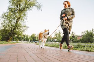 女士慢跑与她的柴犬