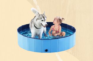 A dog and a girl sitting in a dog pool on an orange background