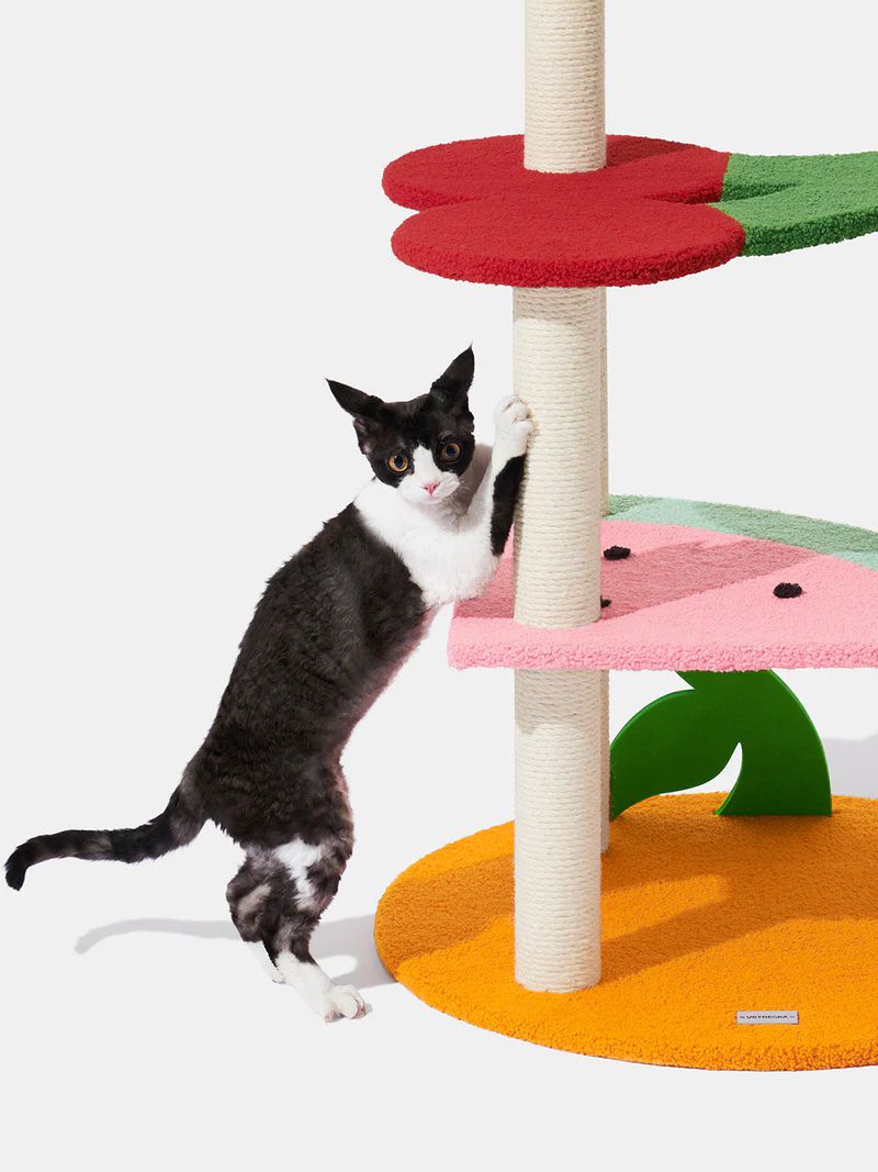 Fruit Climber Cat Tree