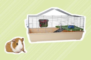 Best Guinea Pig Cages