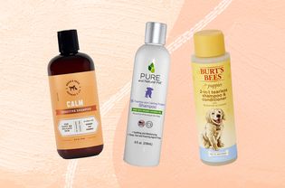 Puppy shampoos we recommend on an orange background