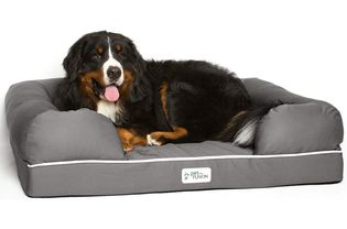 A dog laying down on the Pet Fusion Ultimate Dog Bed with a white background