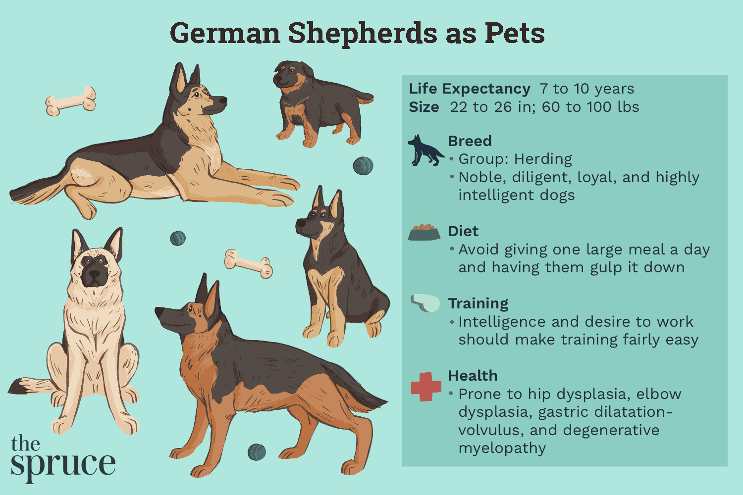 德国牧羊犬作为宠物