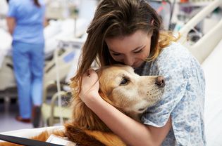 女病人在医院里拥抱治疗犬