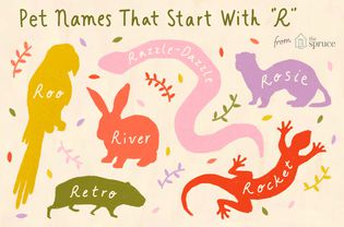 Pet Names That Start with 'R