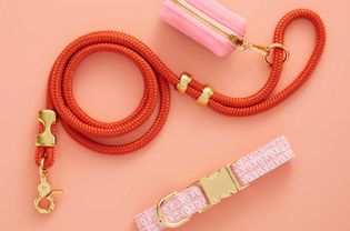 Foggy Dog Hugs & Kisses Collar Walk Set